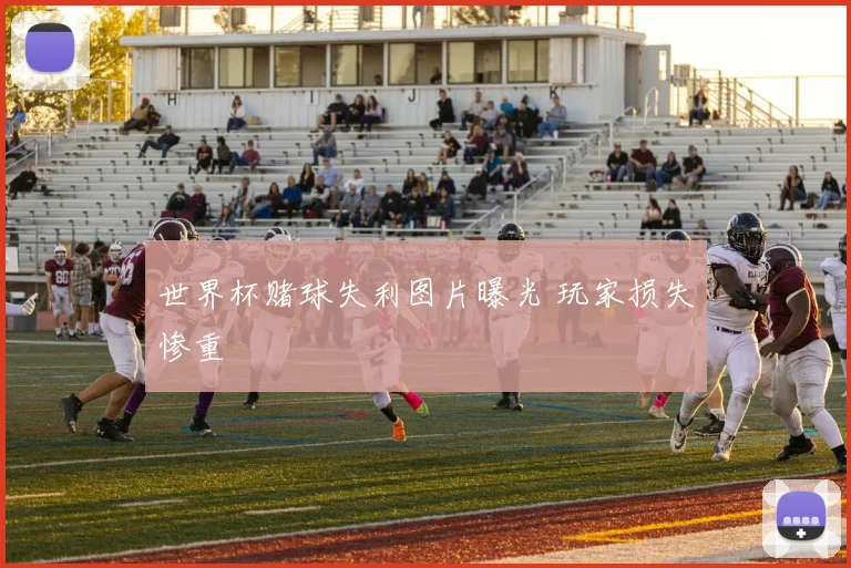 世界杯赌球失利图片曝光 玩家损失惨重
