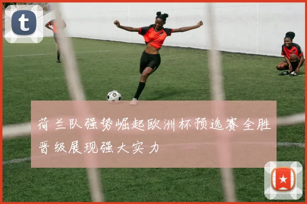 荷兰队强势崛起欧洲杯预选赛全胜晋级展现强大实力