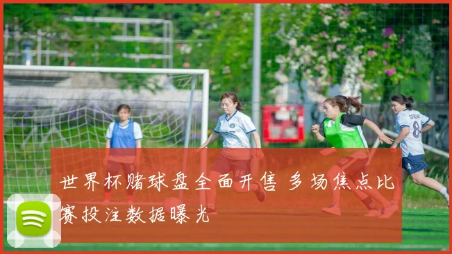 世界杯赌球盘全面开售 多场焦点比赛投注数据曝光