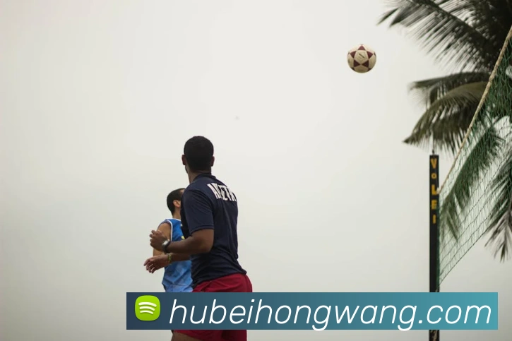 milan登录入口服务体系