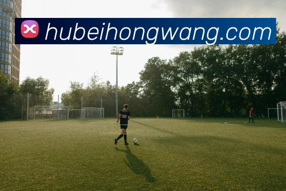 奖项2